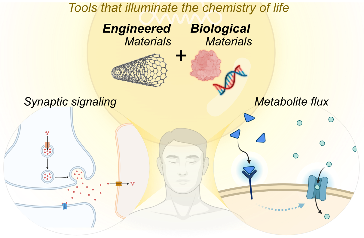 Research Overview